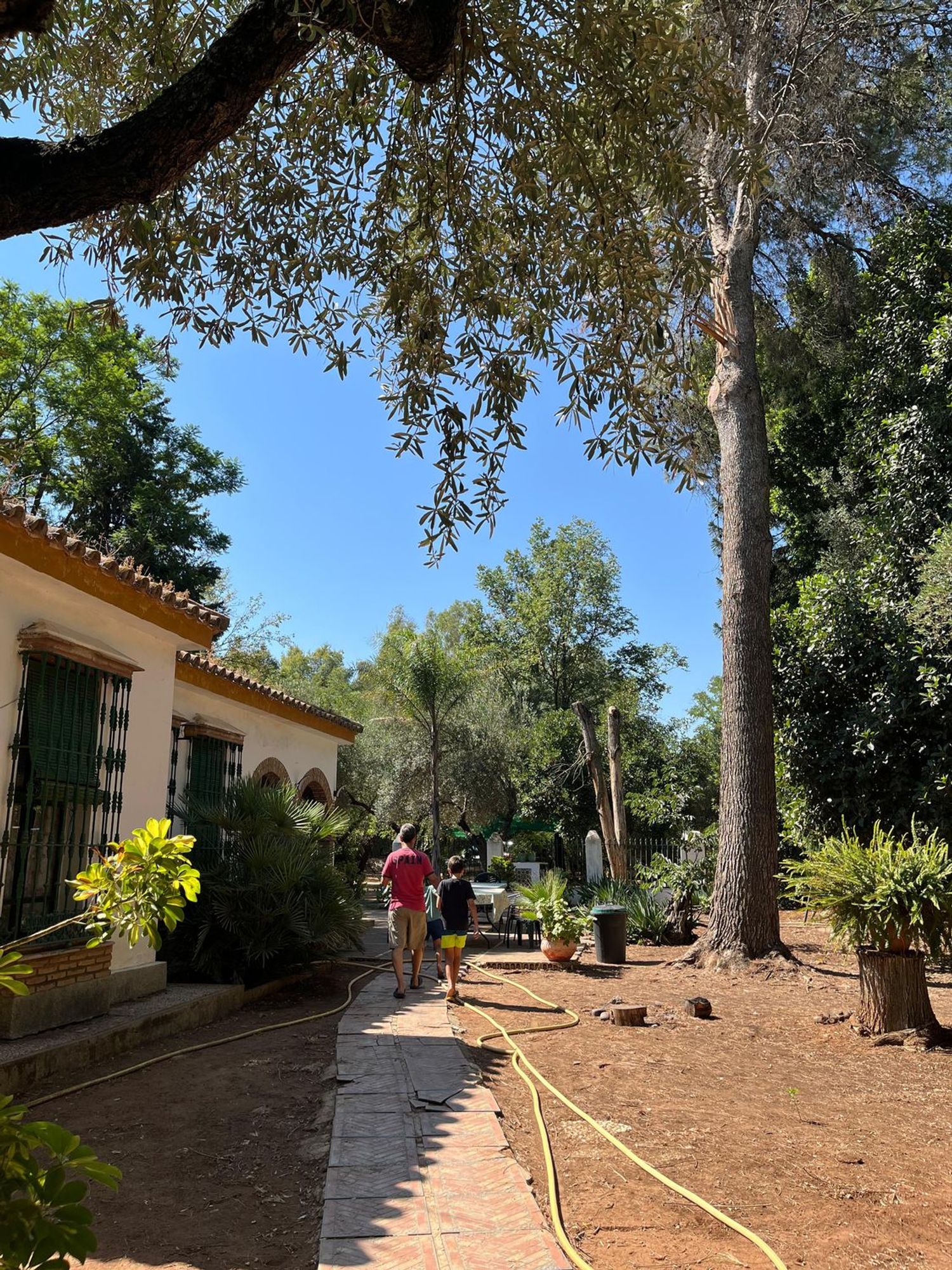 Finca rústica en Urb. Finca Atalaya Alta s/n s/n - Foto 7
