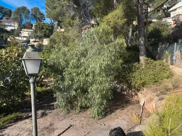 Terreno Residencial en  Passatge l'Dàlia 3 - Foto 8