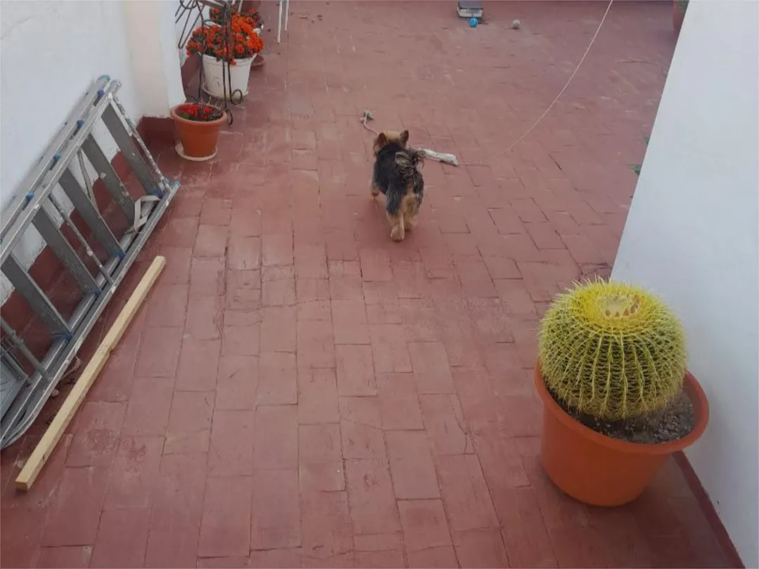 Piso en  Avenida de Juan Carlos I 20 - Foto 3