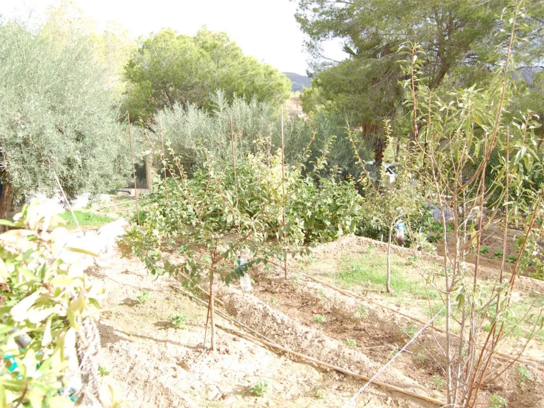 Chalet en  Urbanización la Pinada 37 - Foto 44