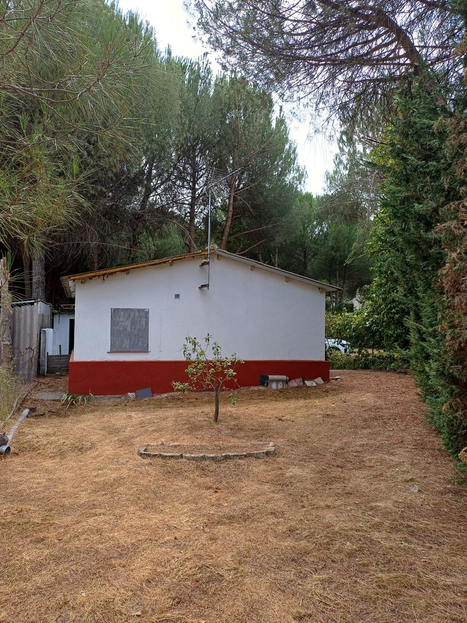Casa o chalet independiente en Calle del Pinar, 114 - Foto 8