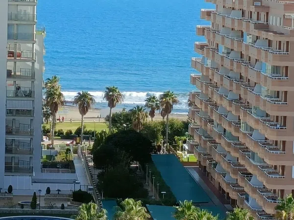 Piso en Avenida Central, 34, Costa Caribe - Foto 8