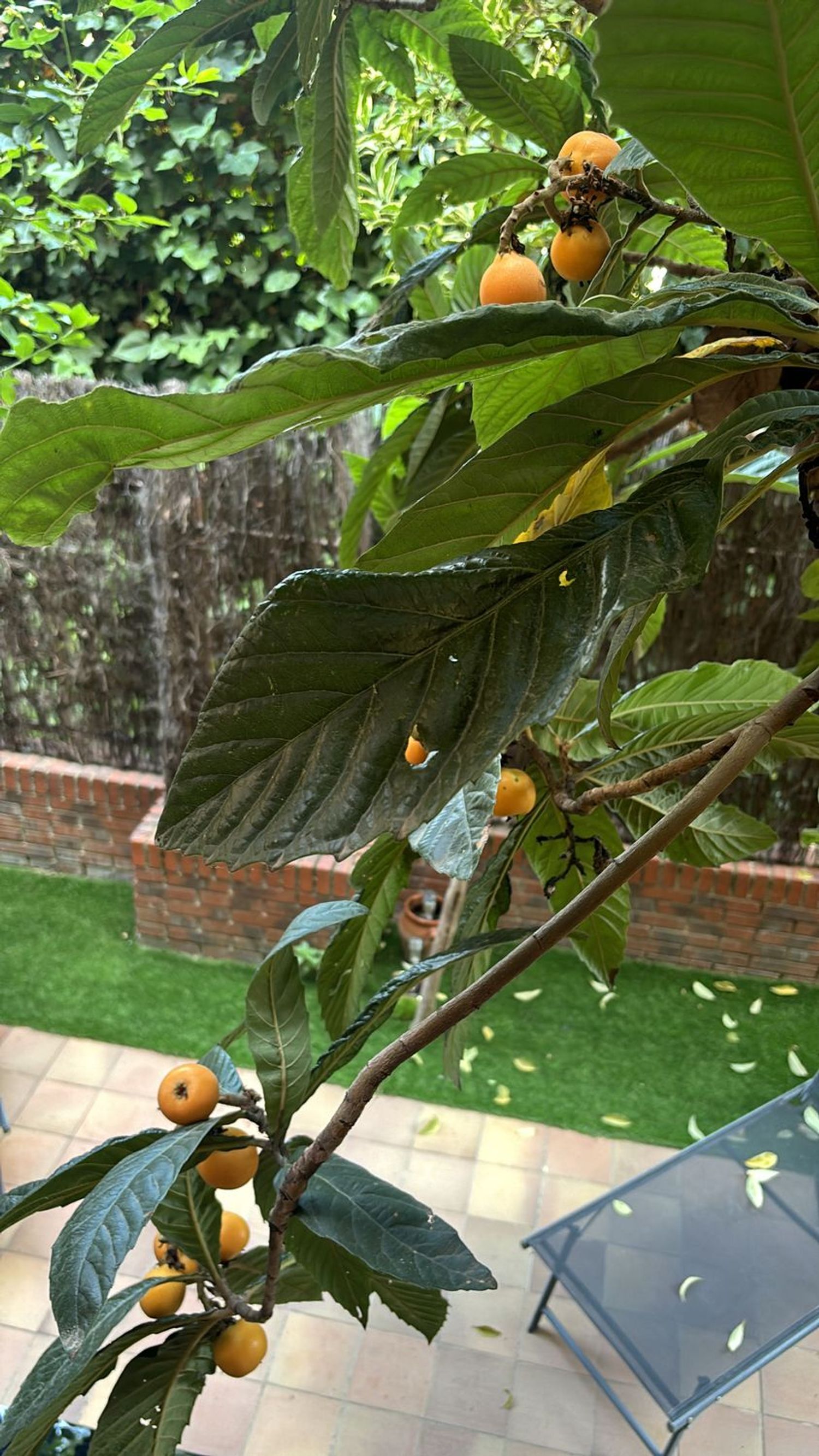 Piso en avenida de Europa, 7 - Foto 11