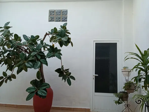 Casa de pueblo en Ador - Foto 18