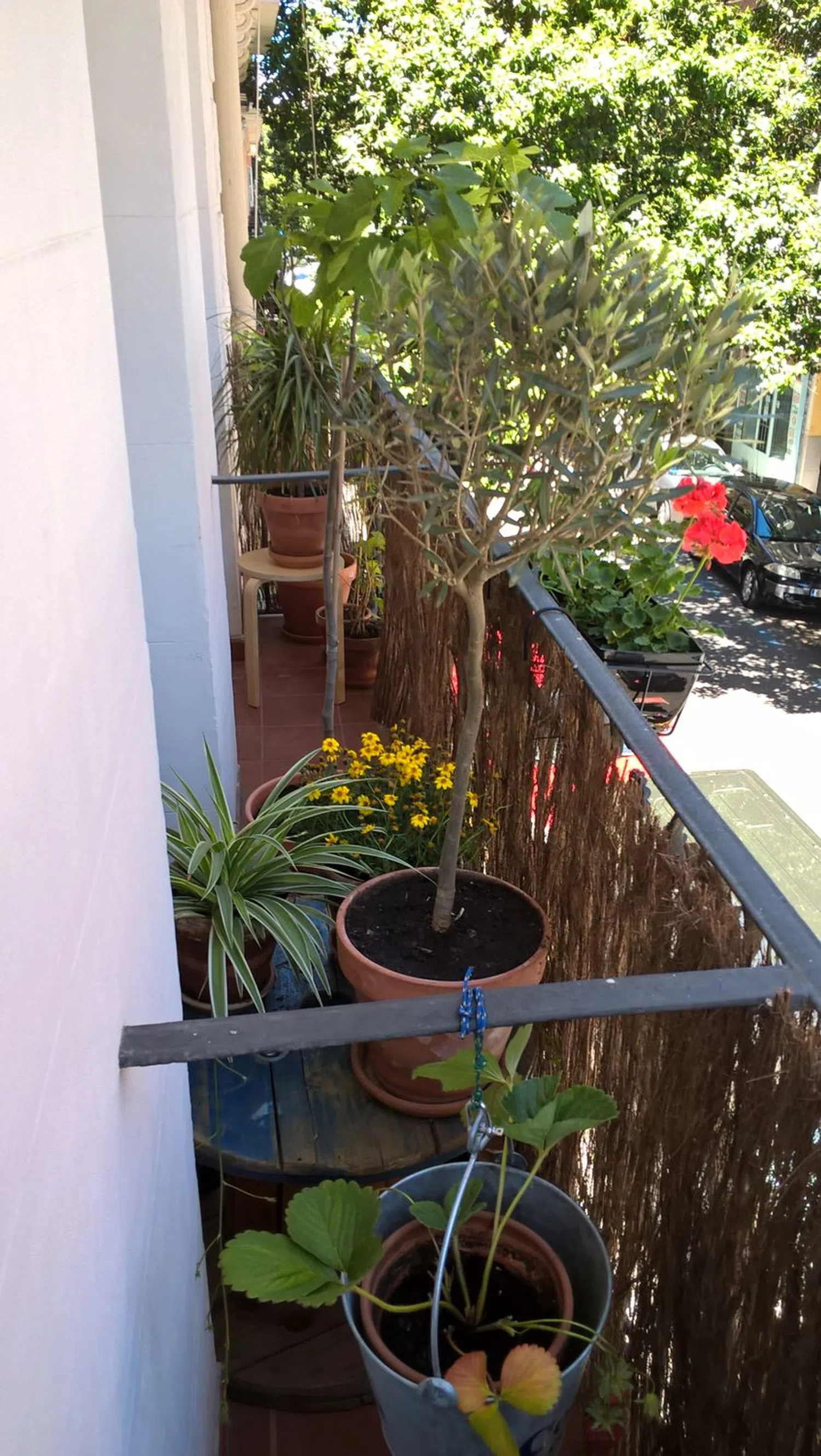 Piso en calle del Cardenal Cisneros, 19 - Foto 17