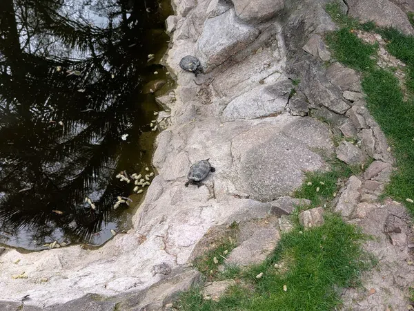 Chalet adosado en calle de Cuesta Blanca, 293 - Foto 13