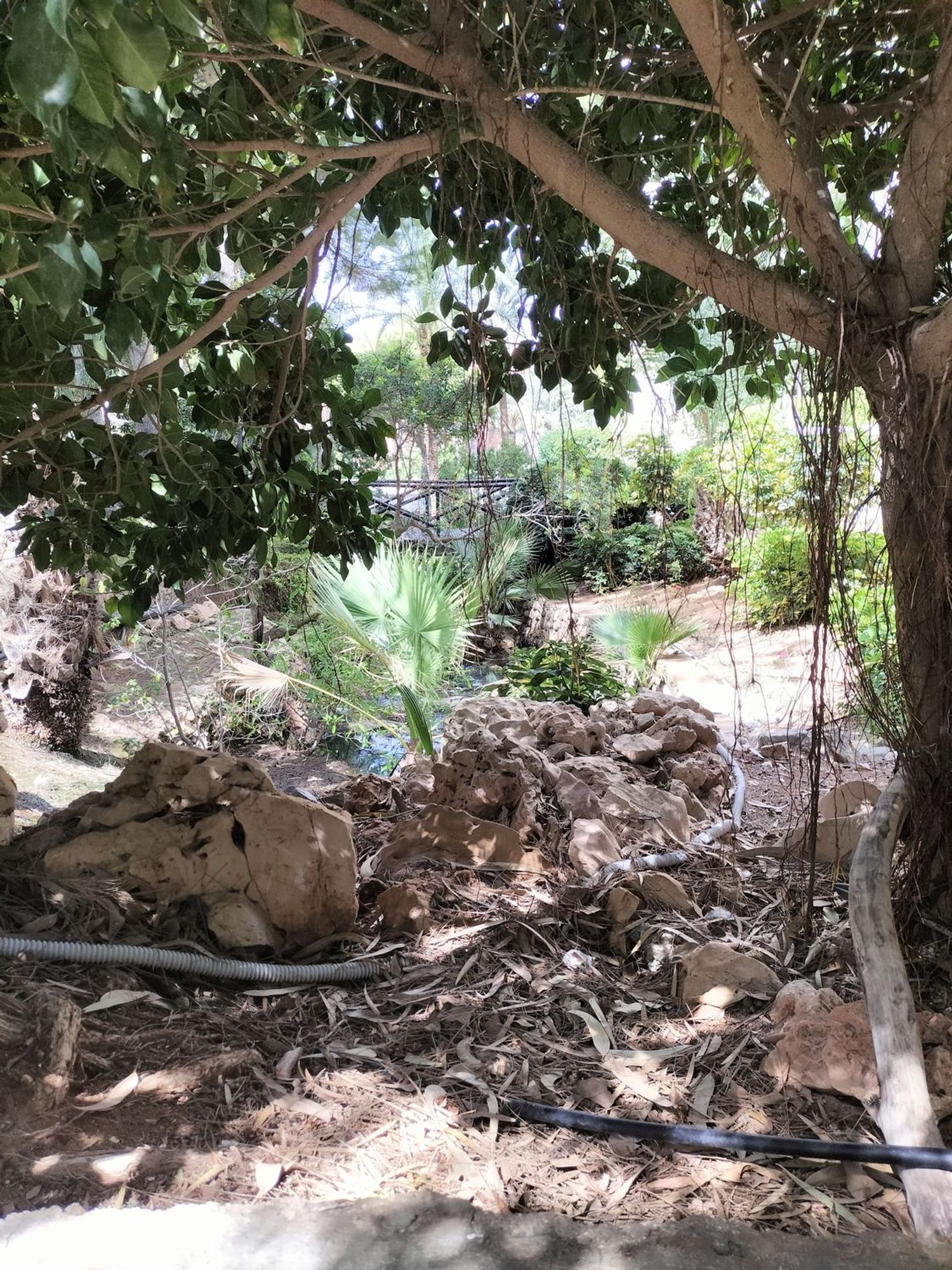 Piso en Avenida de Montecarlo, 26, Zona Sierra Helada - Foto 13