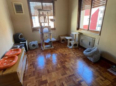 Piso en  Calle Doctor Fleming 4 - Foto 10