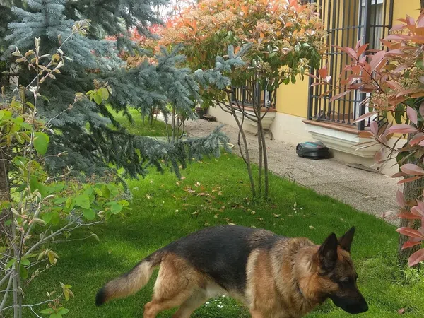 Casa independiente en Urb. campodón Barrio Campodón - Ventorro del Cano - Foto 26