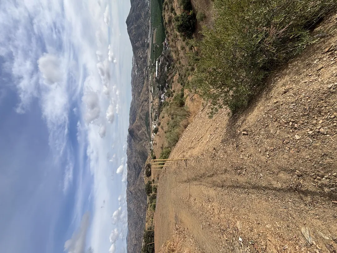 Finca rústica en  Diseminado R31 67 - Foto 3