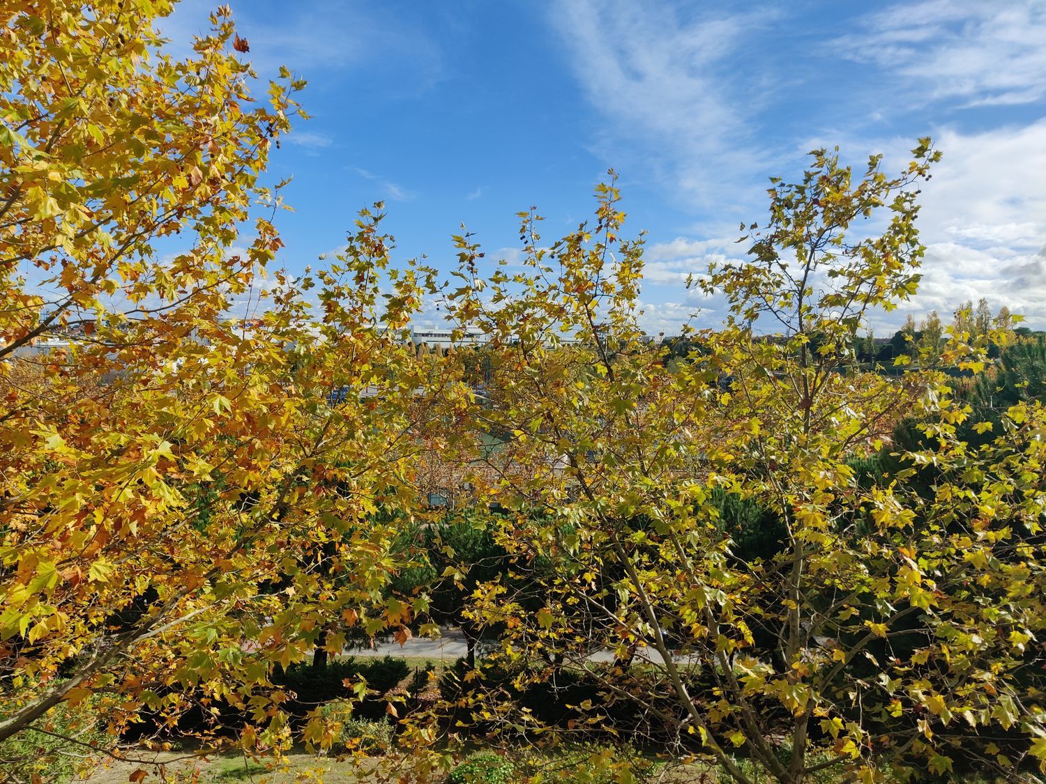 Dúplex en Sector Foresta, 14 - Foto 24