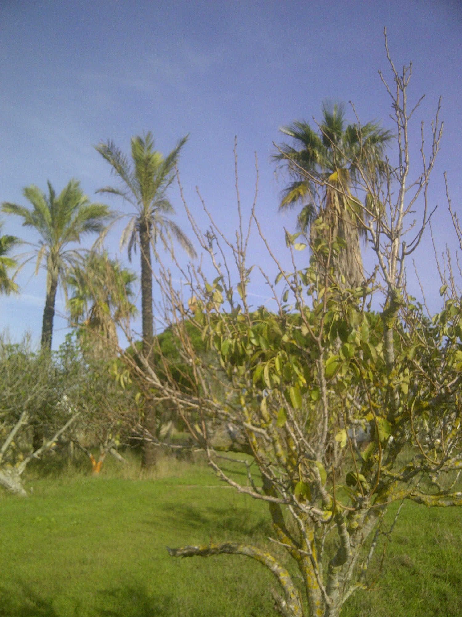 Casa independiente en calle Ceuta s/n - Foto 4