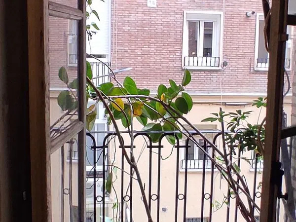 Piso en calle de Bravo Murillo, 41