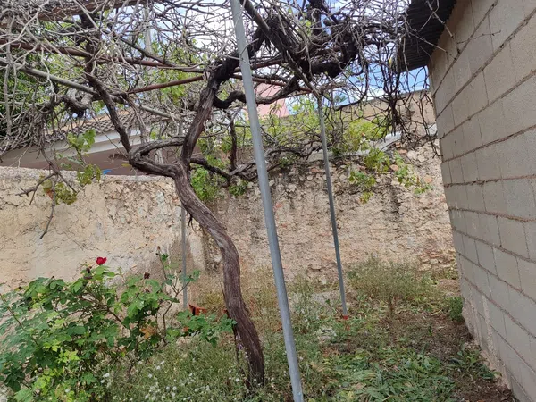 Casa de pueblo en Calle Nuestra Señora del Pilar, 2, Torre-Pacheco, Torre-Pacheco - Foto 23