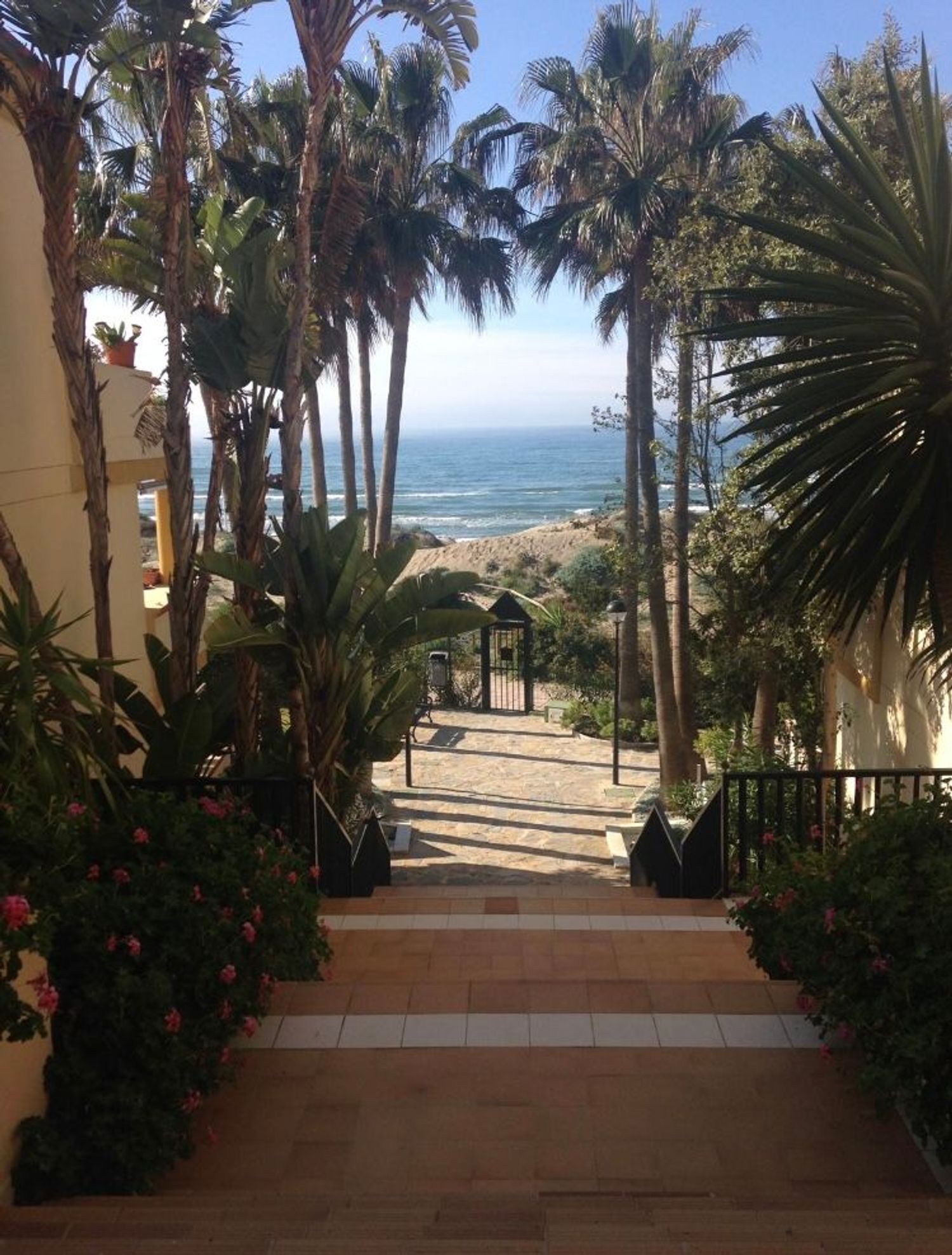 Piso en Avenida Jardines de las Golondrinas s/n, Romana Playa - Foto 16