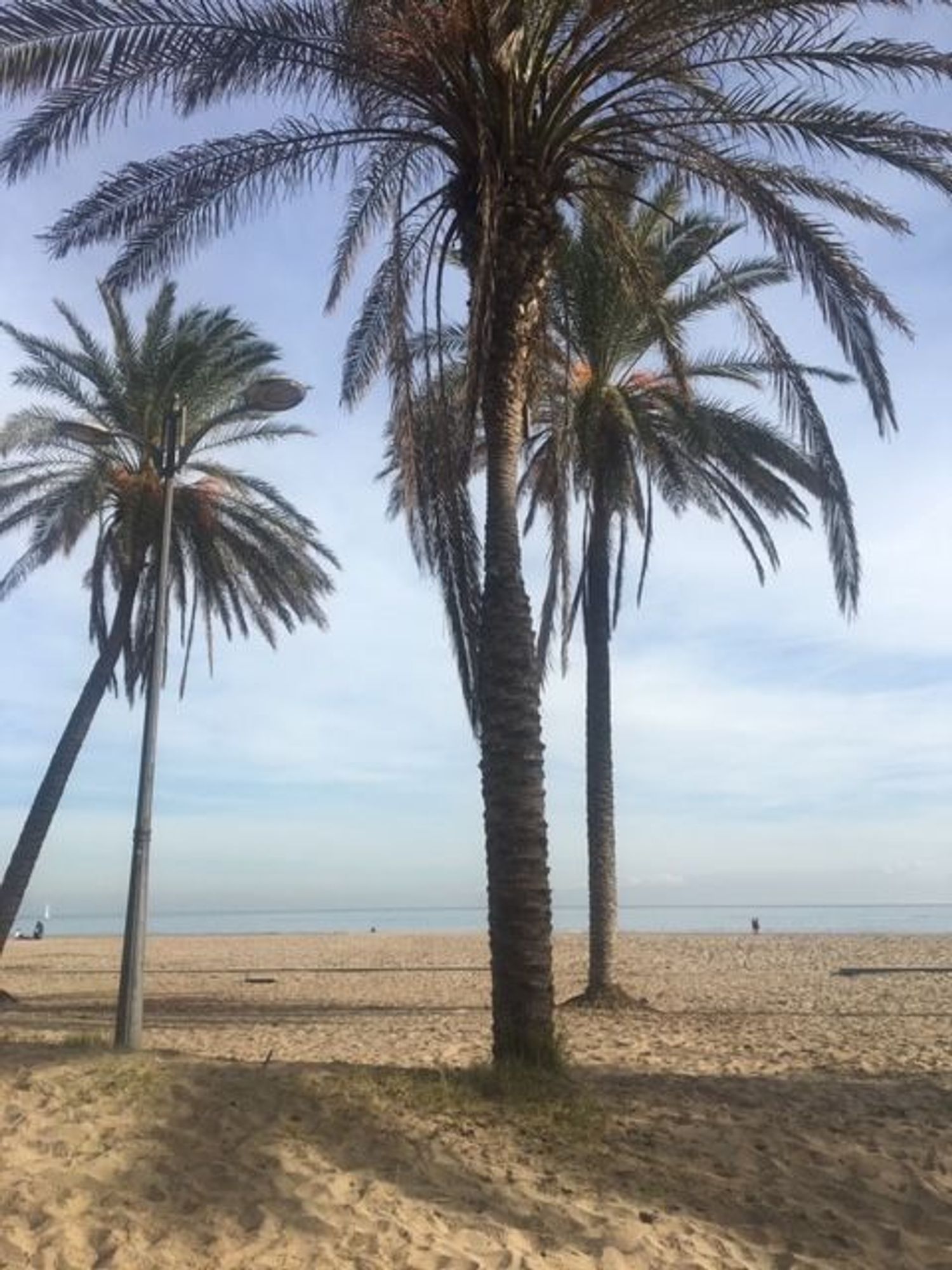 Piso en avenida Mare Nostrum, 15 - Foto 24