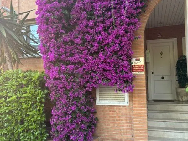 Chalet adosado en Avenida de Wolfgang Amadeus Mozart, 62, Urbanitzacions de Llevant, Urbanitzacions de Llevant - Foto 37