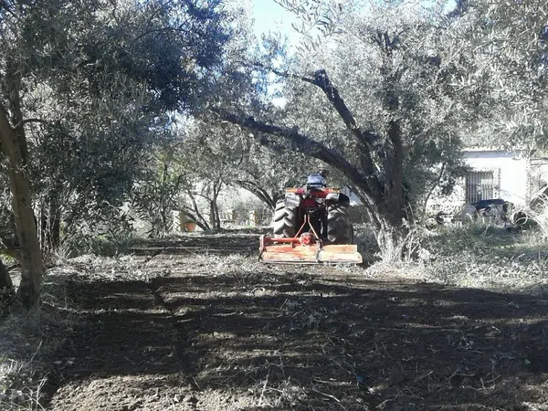 Finca rústica en Calle a, 1 - Foto 21
