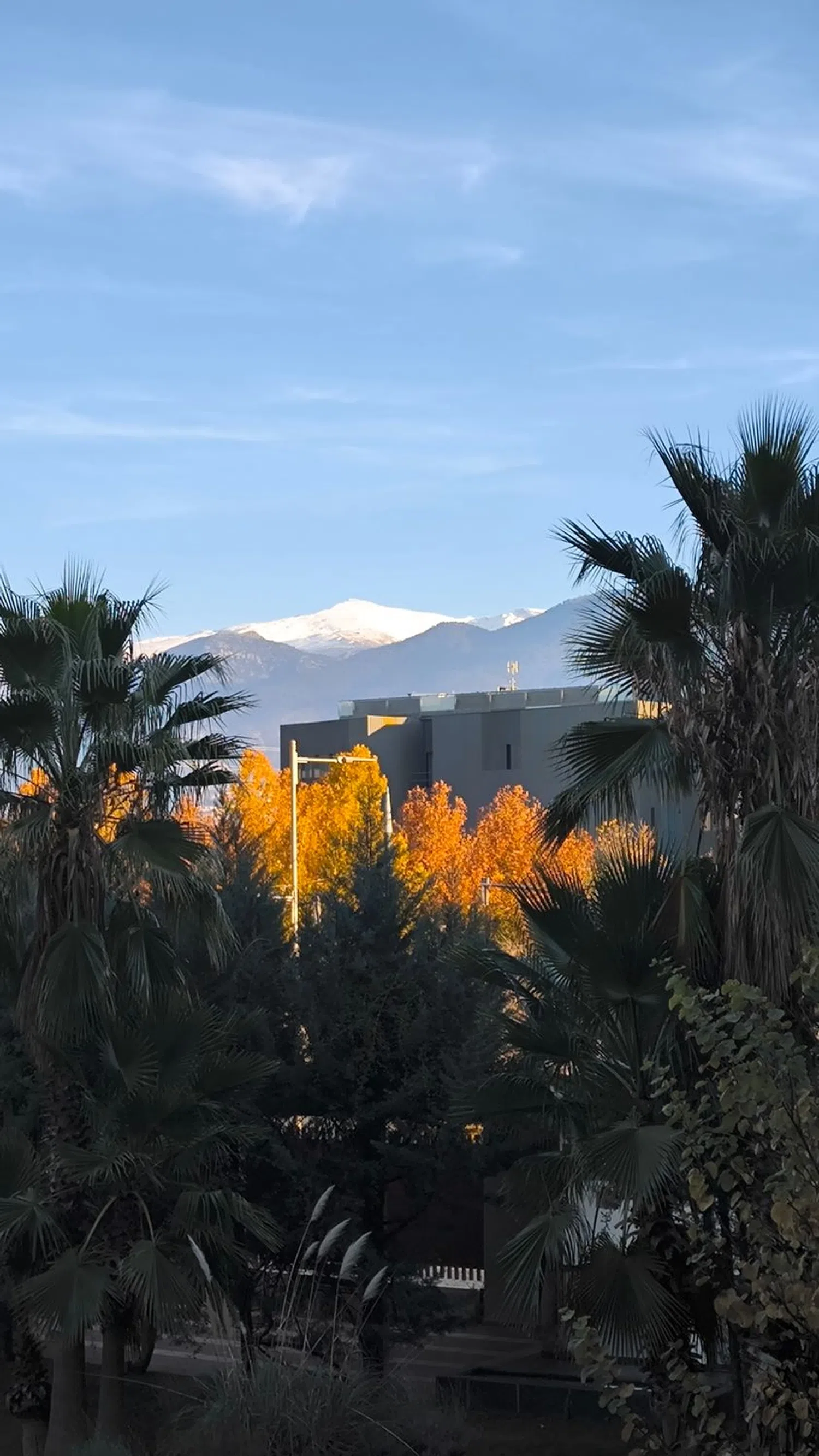 Piso en avenida de la Ilustración, 123 - Foto 1