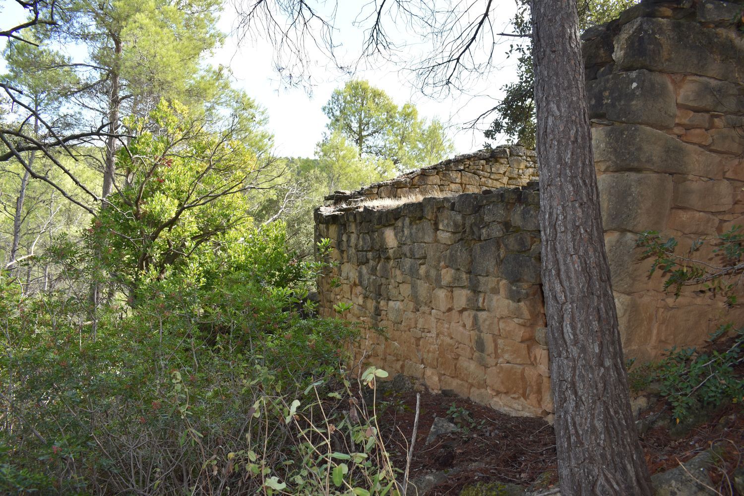 Finca rústica en 12, 20 - Foto 17