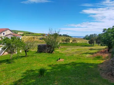Finca rústica en  Avenida de Cuberris 1 - Foto 6