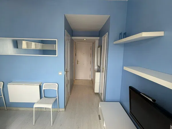 Estudio en Calle de Sánchez Pacheco, 16, Ciudad Jardín - Foto 9