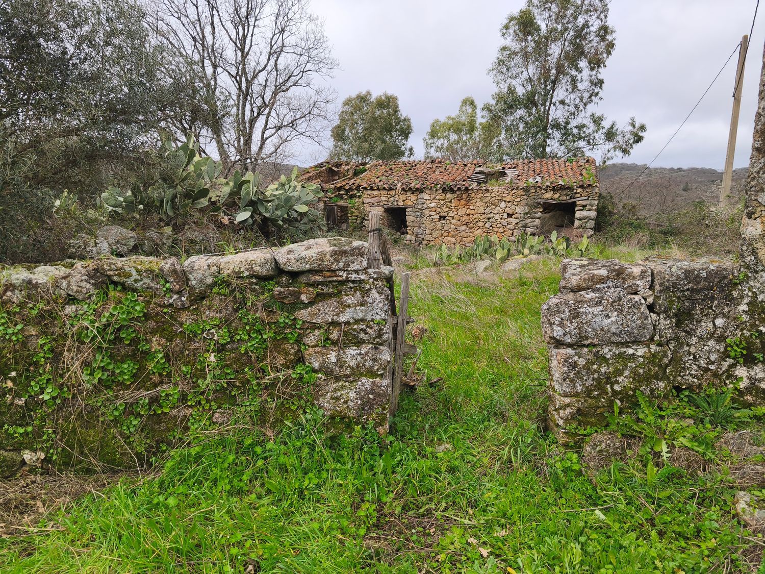 Finca rústica en Poblado los Arroyos de Abajo, 39 poligonoparcela - Foto 5