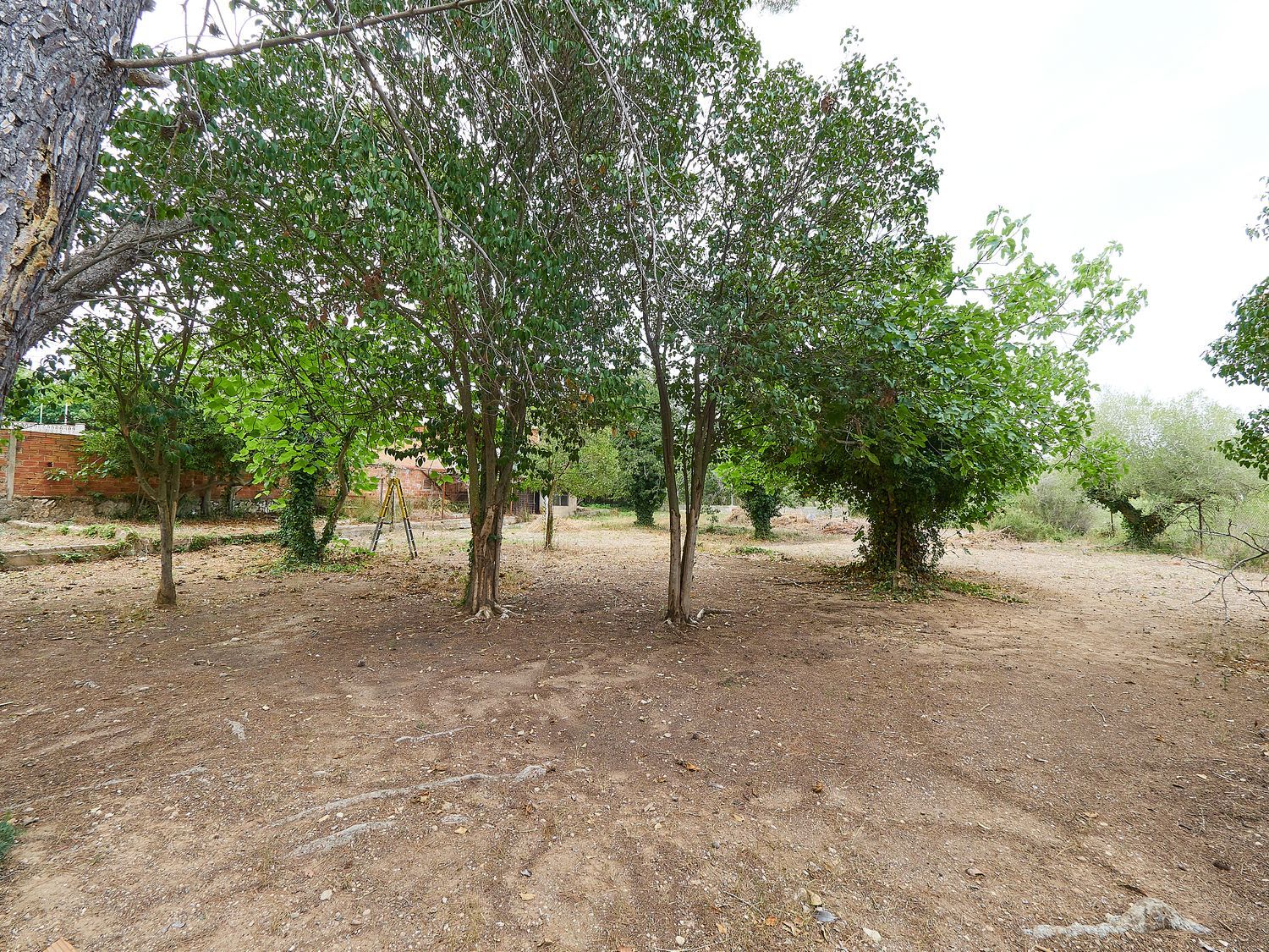 Casa rural en Avenida Catalunya, 20 - Foto 6