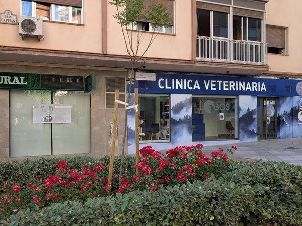 Local en Plaza de Gran Capitán, 5, Gran Capitán - Foto 3