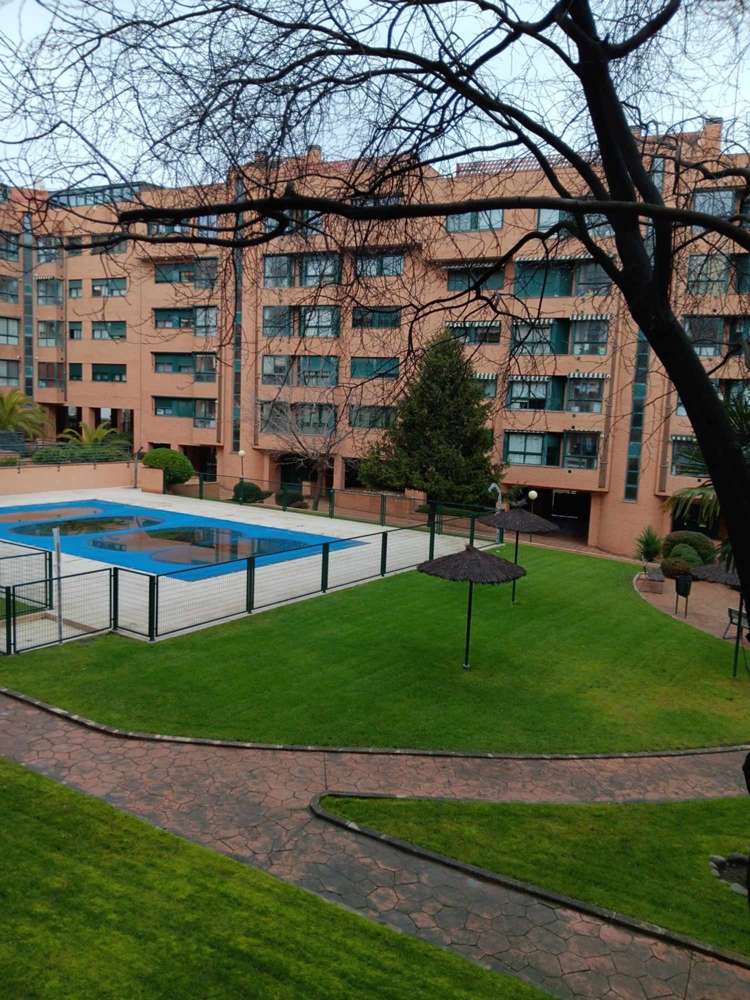 Piso en Avenida de los Arces, 24, Palomas - Foto 7