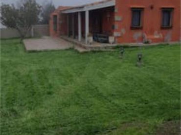 Chalet en icod el Alto - Foto 3