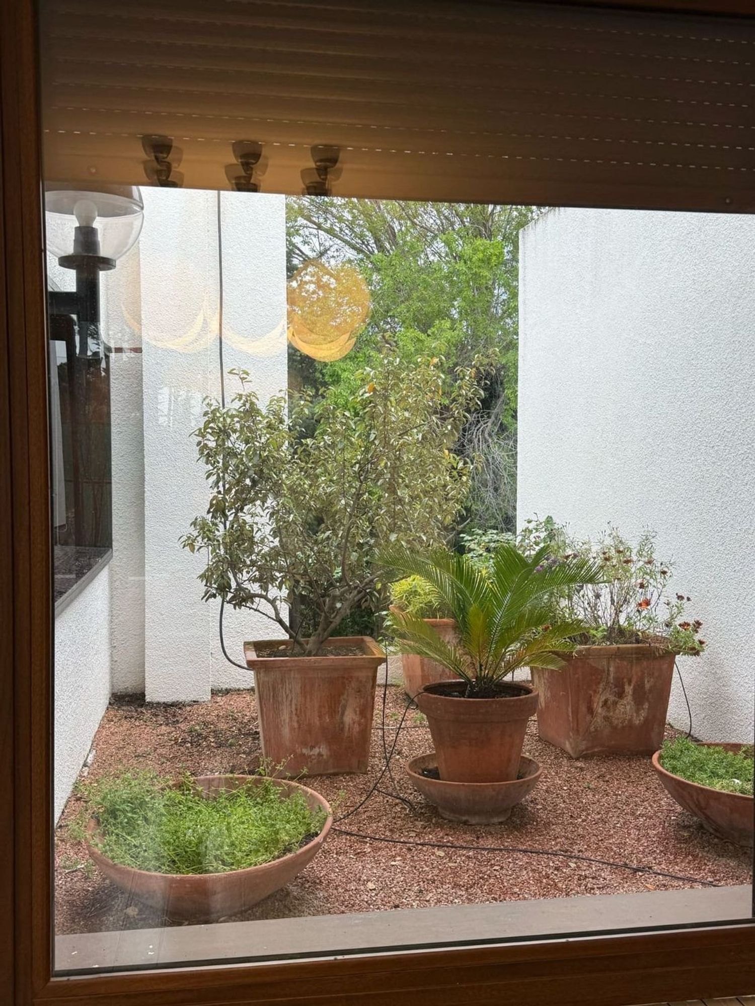 Casa o chalet independiente en Avenida de Sicilia, 73, Parquelagos - Puente Nuevo, Parquelagos - Puente Nuevo - Foto 7