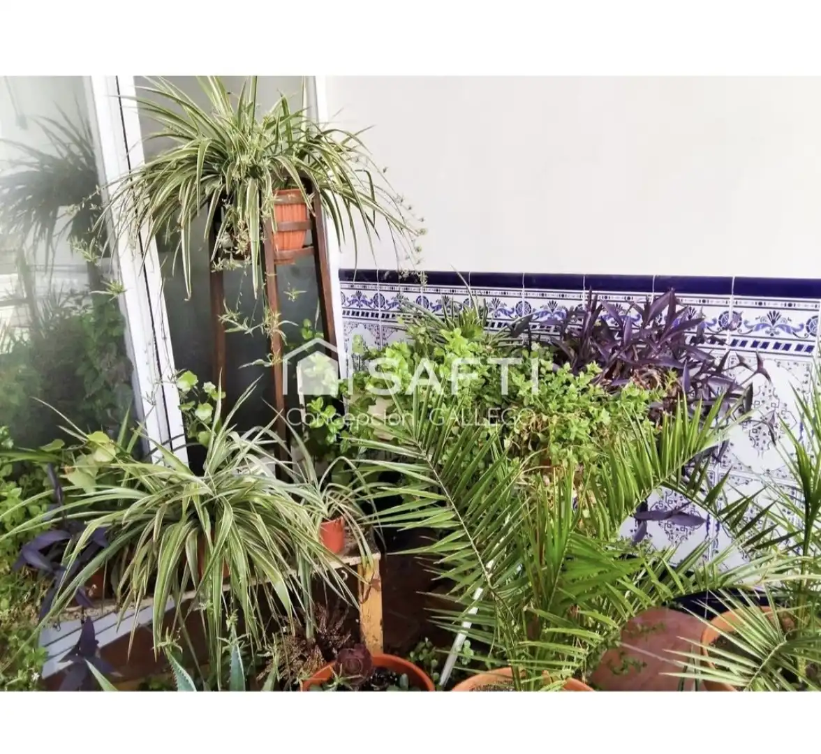 Planta baja en  Calle Maestro Manzanares 55 - Foto 9