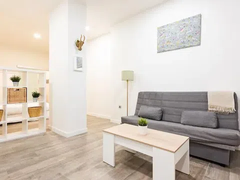 Estudio en calle Perdiguera, 7