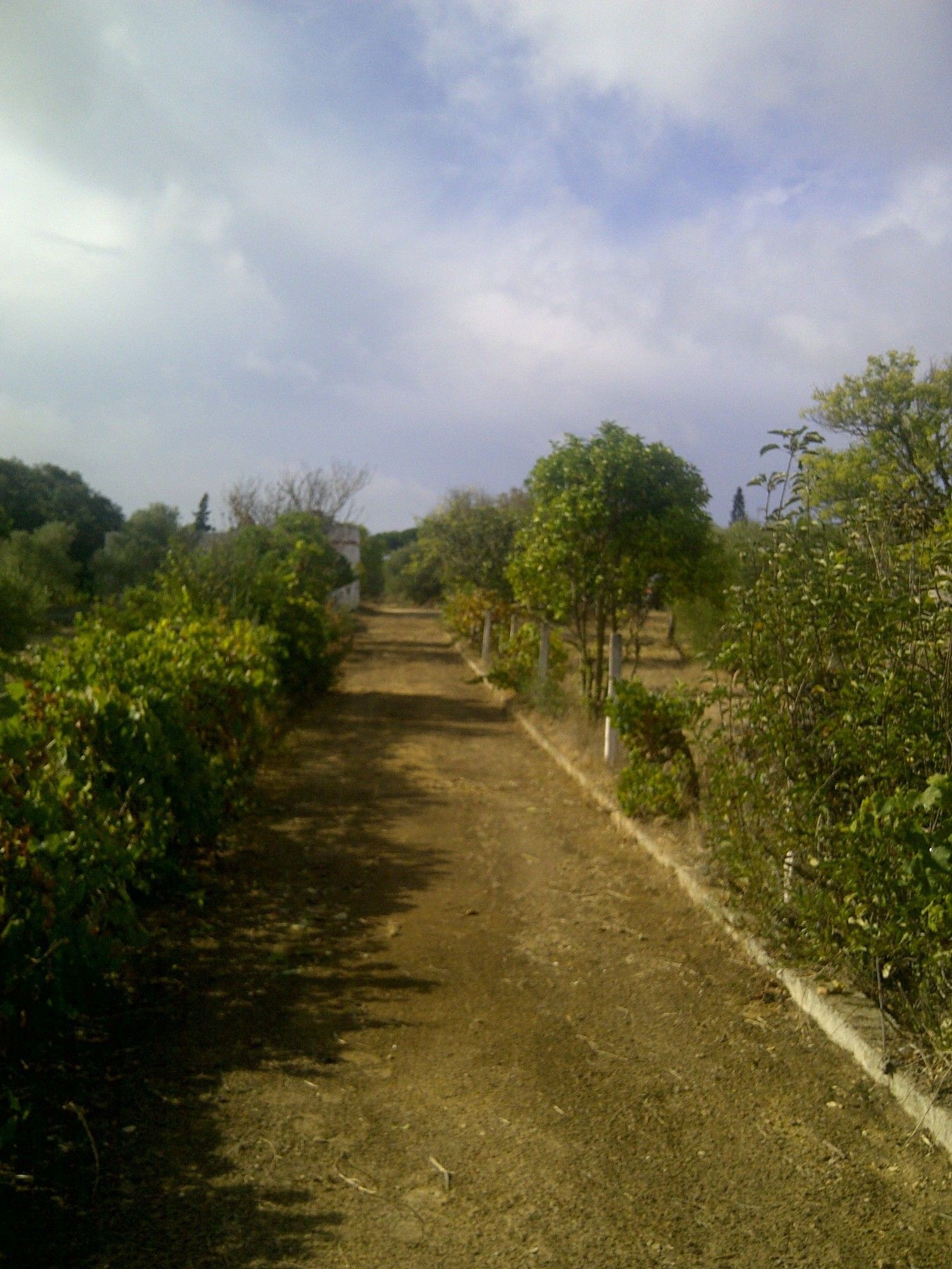 Casa independiente en camino de Melilla s/n - Foto 5