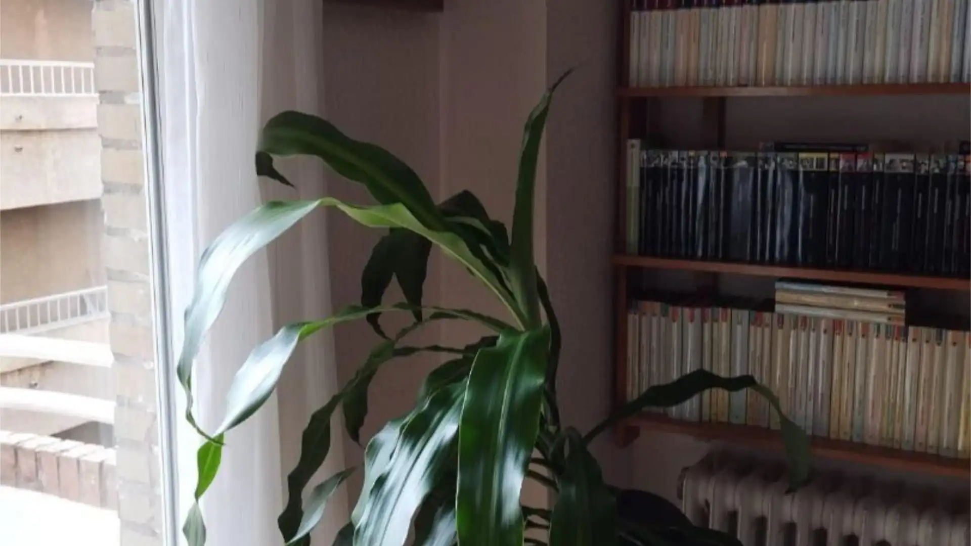 Piso en  Calle Conde Cifuentes 33 - Foto 16