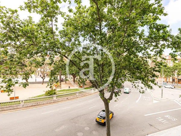 Estudio en Plaza Tetuan, La Dreta de l'Eixample - Foto 23