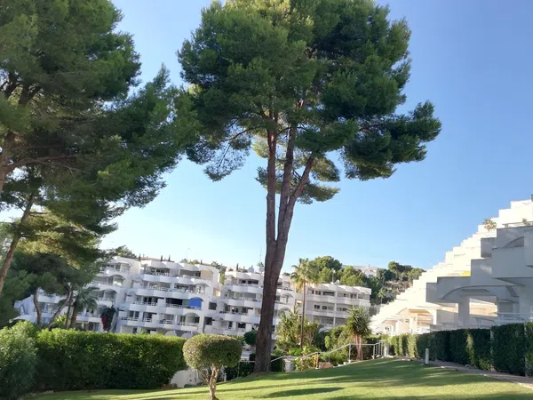 Estudio en Calle de les Sirenes, 19, Cala Vinyes - Foto 3