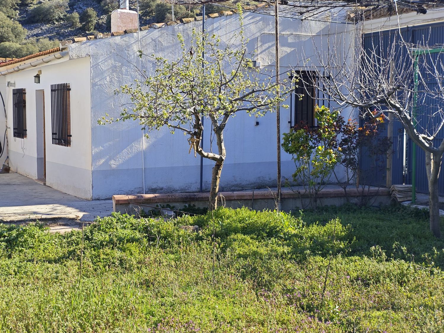Casa de pueblo en Calle Los Tinaos, 15 - Foto 23