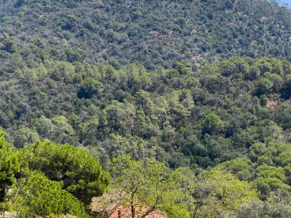 Masía en Masía en Diseminado Veinat de Sant Daniel, 104, Mas Mora - Sant Daniel, Mas Mora - Sant Daniel - Foto 16