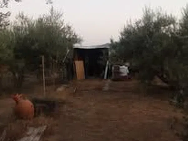 Finca rústica en Poligono, 8, Estación, Estación - Foto 14