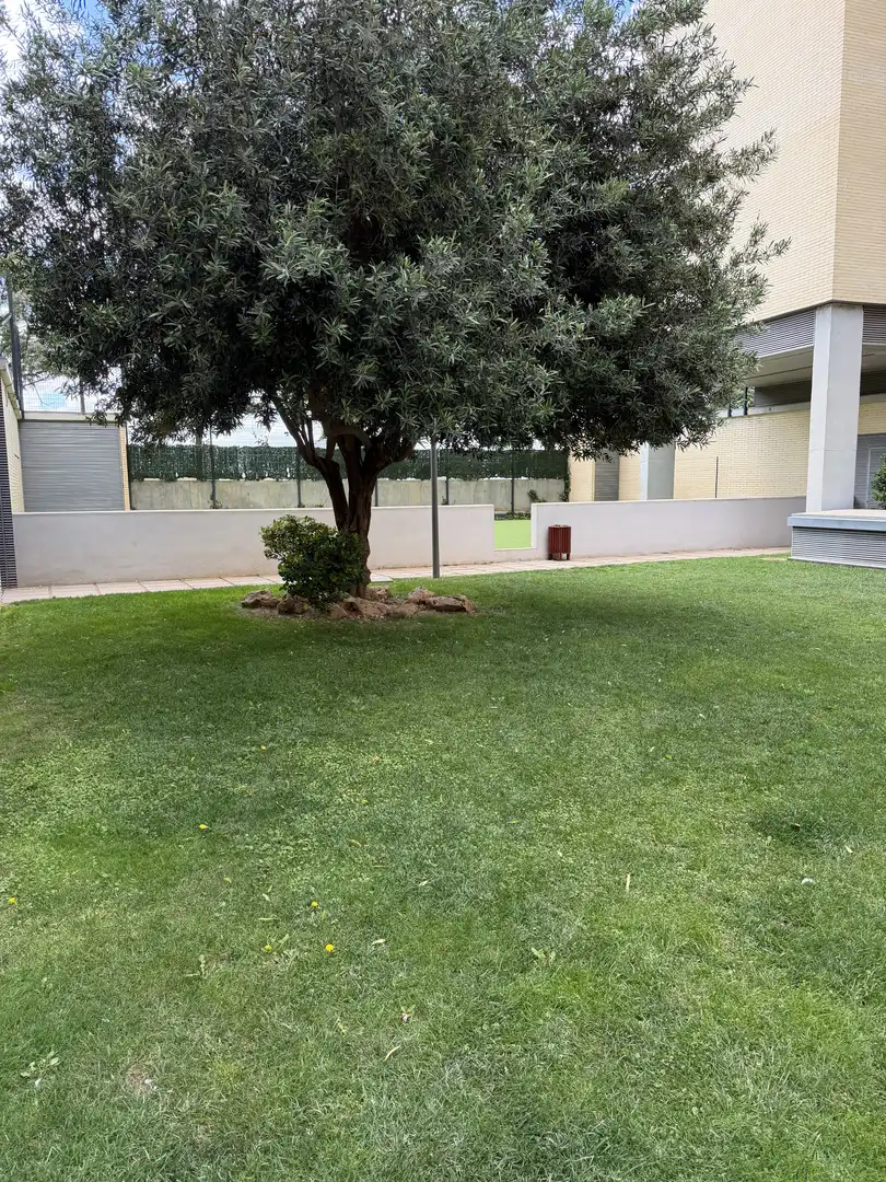 Piso en  Avinguda del Mestre Rodrigo 6 - Foto 24