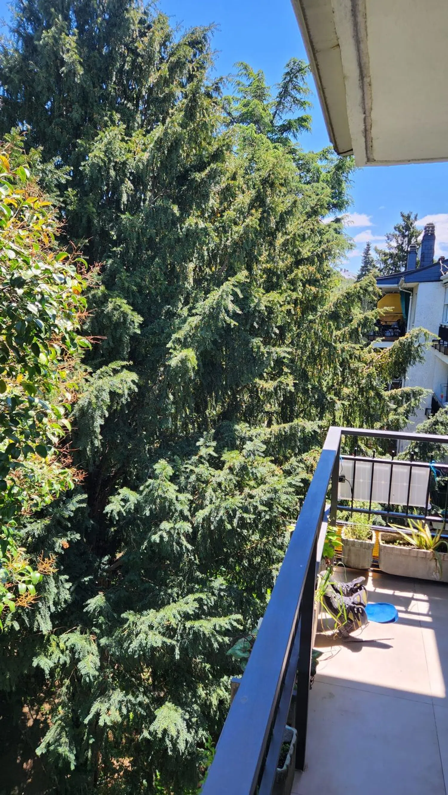 Piso en calle Segovia, 15 - Foto 23