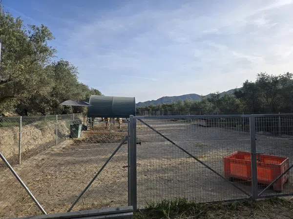 Casa rural en Cortijo de los Panes, 314 - Foto 4