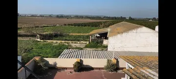 Finca rústica en  Carretera Sevilla 3 - Foto 1