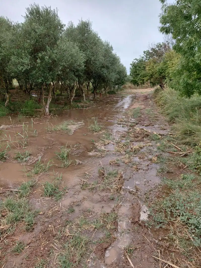 Finca rústica en  Carrer de Sant Pere 1 - Foto 16