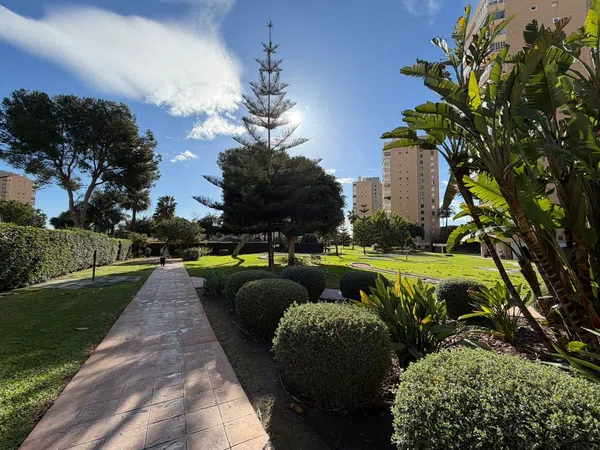 Piso en avenida de Playamar, 9 - Foto 24