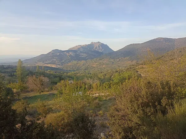 Cortijo en Carretera Fuenmayor s/n - Foto 4