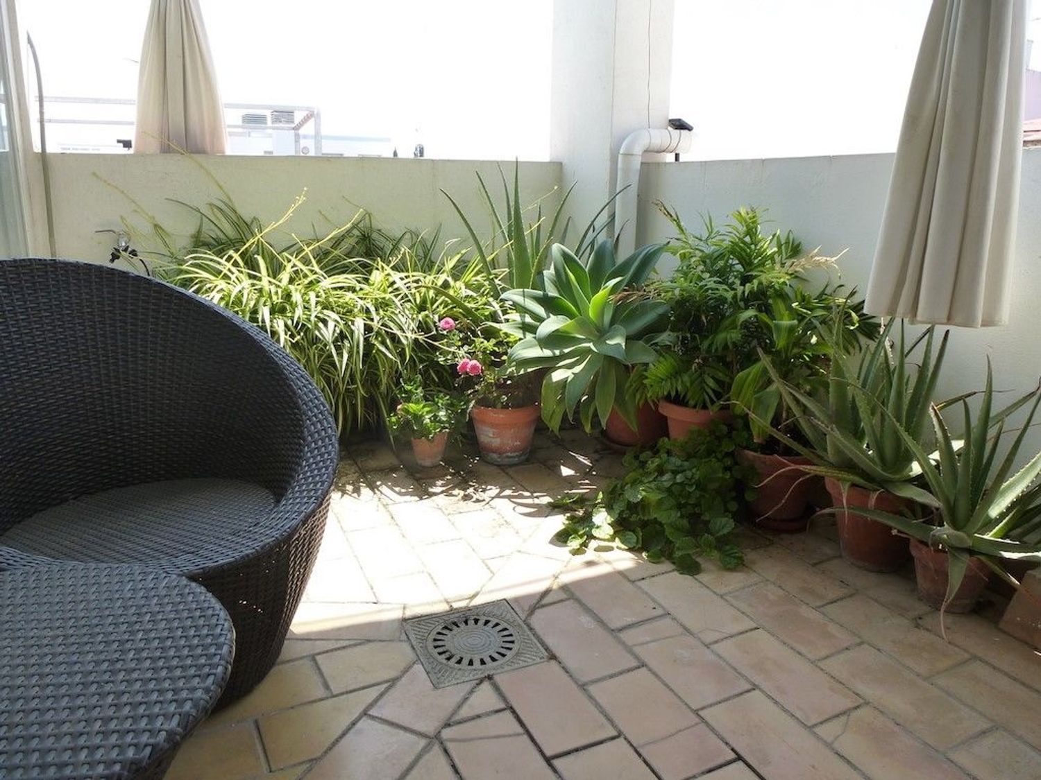 Alquiler de dúplex en Divina Enfermera, 2 - Foto 4