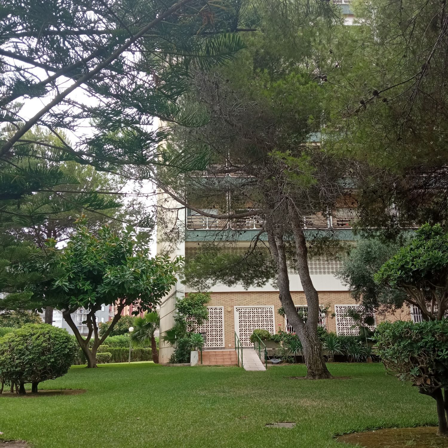 Estudio en Avenida Nord, 6, Playa de Gandia, Playa de Gandia - Foto 18
